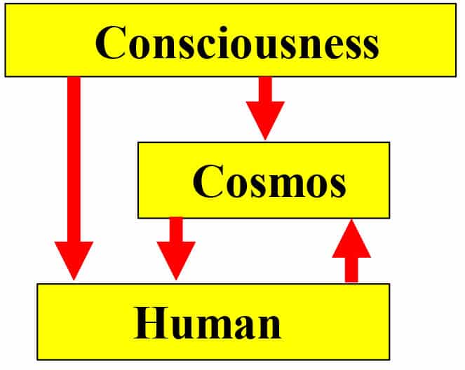 Different Theories Of Consciousness - CosmoIntel